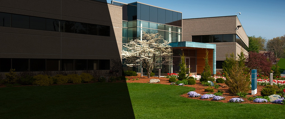Salt Point Landscapers