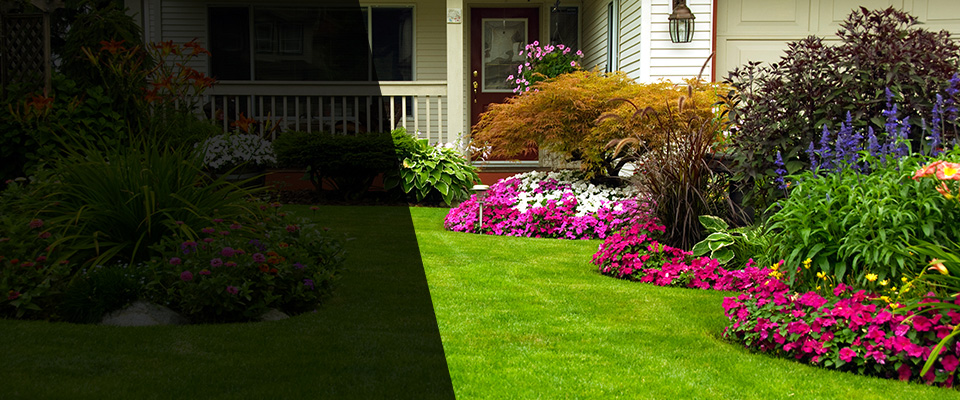 Salt Point Landscapers