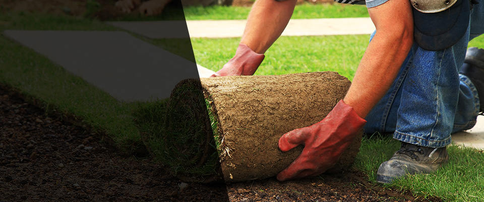 Salt Point Landscapers